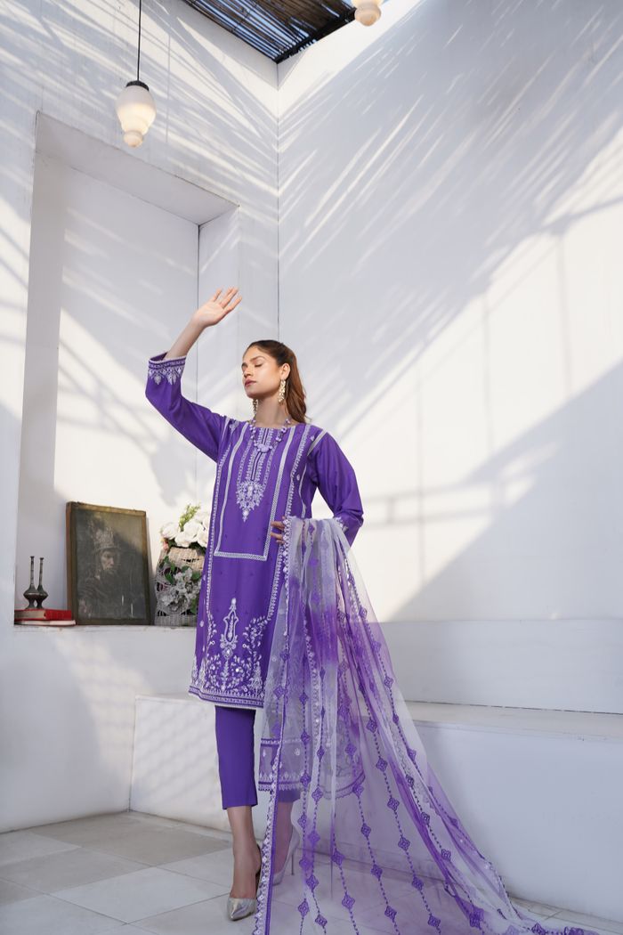 services-04 A woman poses in a purple embroidered outfit, capturing elegance and cultural fashion.